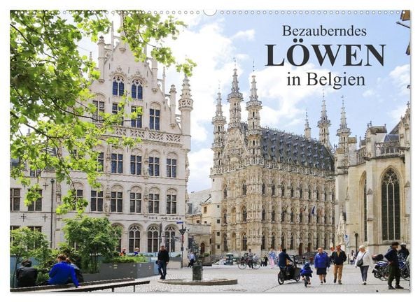 Produktbild: Bezauberndes L&ouml;wen in Belgien (Wandkalender 2026 DIN A2 quer), CALVENDO Monatskalender