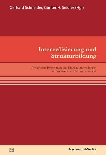 Produktbild: Internalisierung und Strukturbildung