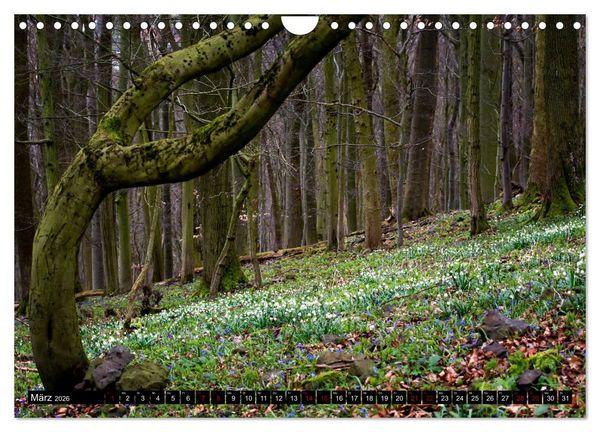 Produktbild: Die Rh&ouml;n (Wandkalender 2026 DIN A4 quer), CALVENDO Monatskalender