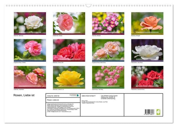 Produktbild: Rosen, Liebe ist (Wandkalender 2027 DIN A2 quer), CALVENDO Monatskalender