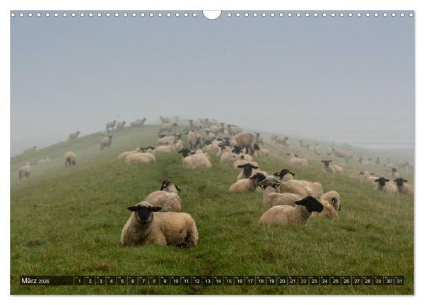Produktbild: Impressionen aus dem Wesermarsch - Butjadingen 2026 (Wandkalender 2026 DIN A3 quer), CALVENDO Monatskalender