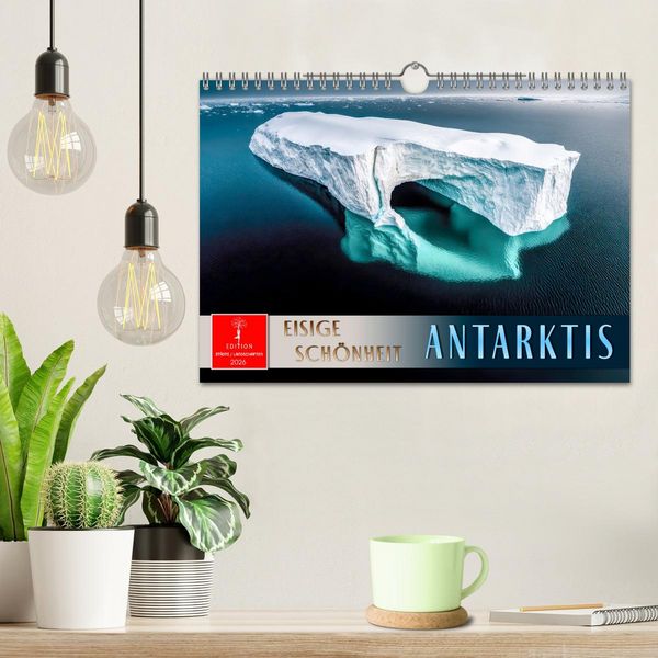 Produktbild: Antarktis - eisige Sch&ouml;nheit (Wandkalender 2026 DIN A4 quer), CALVENDO Monatskalender