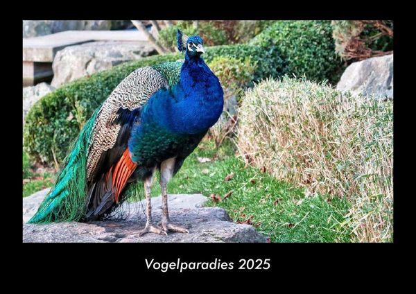 Produktbild: Vogelparadies 2025 Fotokalender DIN A3