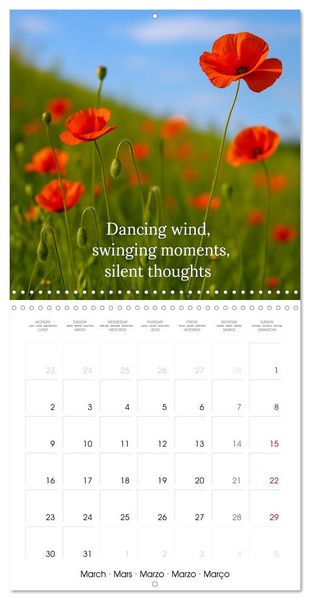 Produktbild: Let the moment guide you (Wall Calendar 2026 12 &times; 12 Inch) CALVENDO 12 Month Wall Calendar