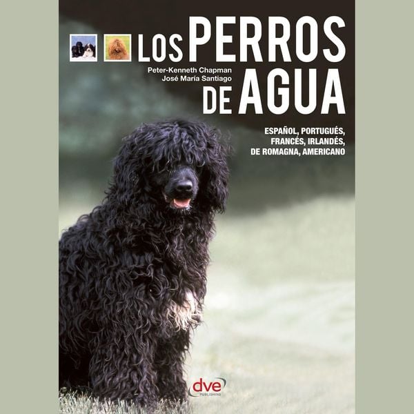 Produktbild: Los perros de agua - El perro de Obama