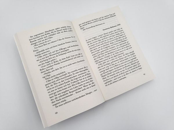Produktbild: Das M&auml;dchen aus dem Lager &ndash; Der lange Weg der Cecilia Klein