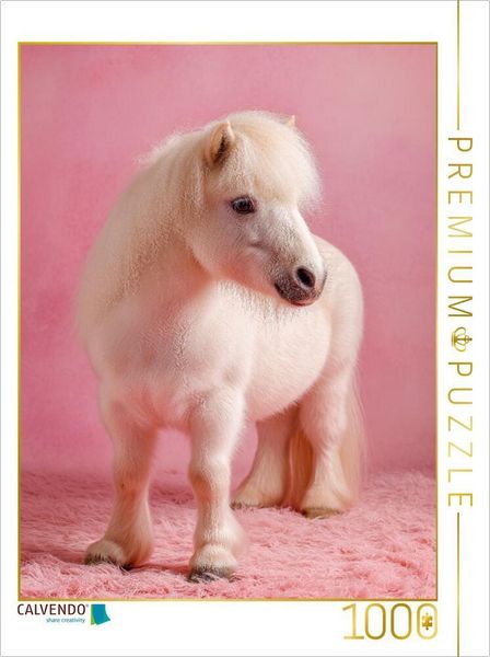 CALVENDO Puzzle Weißes Zwergpony vor rosa Hintergrund | 1000 Teile Lege-Größe 64x48cm Foto-Puzzle für glückliche Stunden