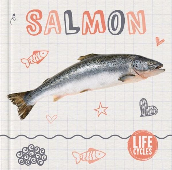 Produktbild: Salmon