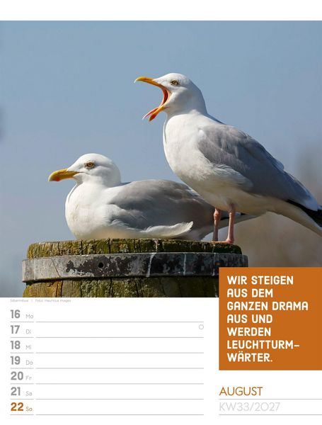 Produktbild: Tierisch Spr&uuml;chekalender Wochenplaner 2027