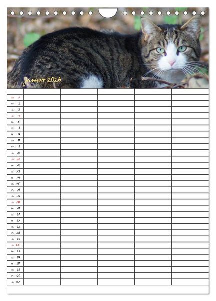 Produktbild: Bauernhoftiere Familienplaner (Wandkalender 2026 DIN A4 hoch), CALVENDO Monatskalender