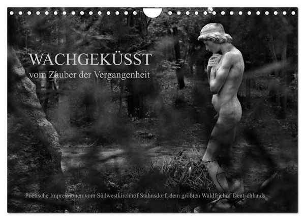 Produktbild: Wachgek&uuml;sst - Vom Zauber der Vergangenheit - S&uuml;dwestkirchhof Stahnsdorf (Wandkalender 2026 DIN A4 quer), CALVENDO Monatskalender
