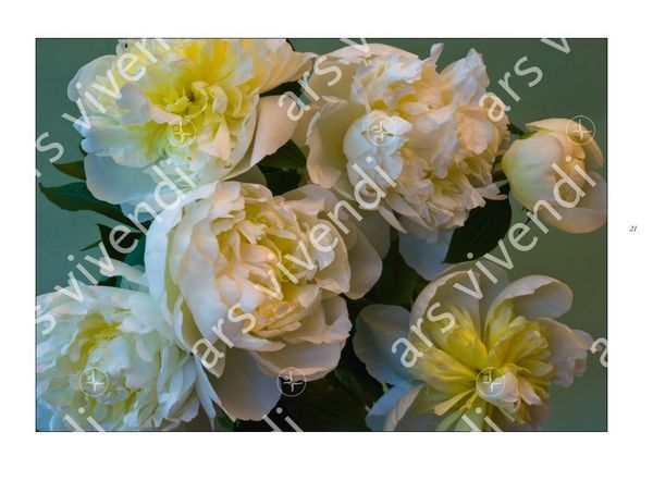 Produktbild: Poesie der Blumen