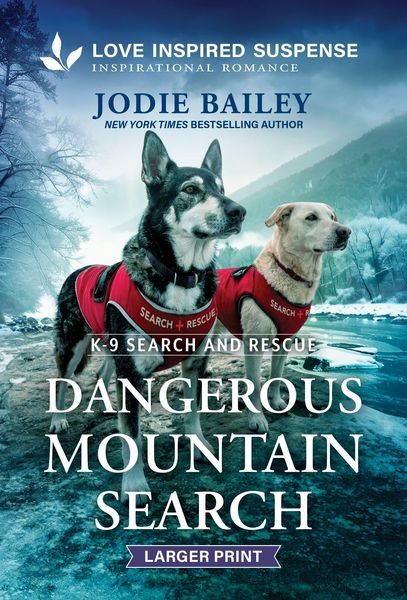 Produktbild: Dangerous Mountain Search