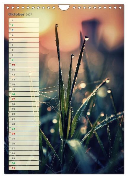 Produktbild: D&uuml;nen und Buhnen (Wandkalender 2027 DIN A4 hoch), CALVENDO Monatskalender