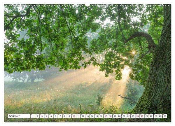 Produktbild: Mystische Momente in Mecklenburg-Vorpommern (hochwertiger Premium Wandkalender 2027 DIN A2 quer), Kunstdruck in Hochglanz