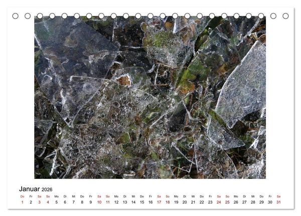 Produktbild: Nymphenburger Park (Tischkalender 2026 DIN A5 quer), CALVENDO Monatskalender