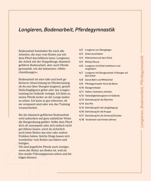 Produktbild: Die Reittrainings-Box
