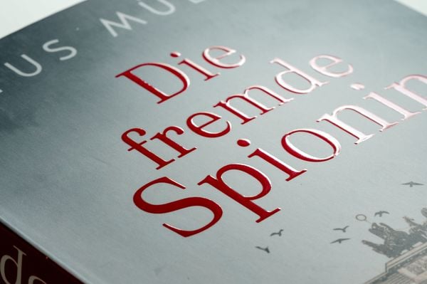 Produktbild: Die fremde Spionin