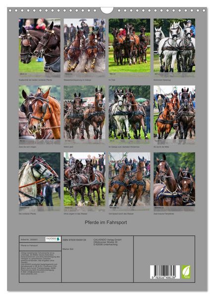 Produktbild: Pferde im Fahrsport (Wandkalender 2026 DIN A3 hoch), CALVENDO Monatskalender