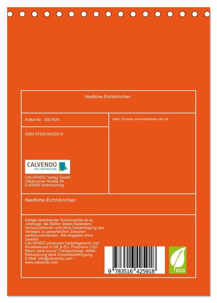 Produktbild: Niedliche Eichh&ouml;rnchen (Tischkalender 2026 DIN A5 hoch), CALVENDO Monatskalender