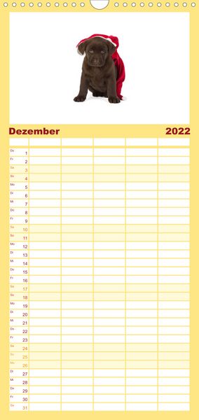 Produktbild: Familienplaner Labrador - Welpen (Wandkalender 2022 , 21 cm x 45 cm, hoch)