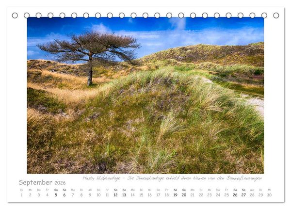 Produktbild: Sehnsucht Westj&uuml;tland (Tischkalender 2026 DIN A5 quer), CALVENDO Monatskalender