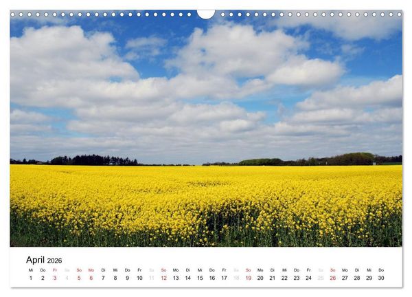 Produktbild: D&auml;nemark - Unterwegs in J&uuml;tland (Wandkalender 2026 DIN A3 quer), CALVENDO Monatskalender