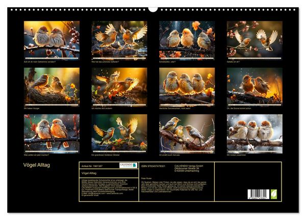 Produktbild: V&ouml;gel Alltag (Wandkalender 2026 DIN A2 quer), CALVENDO Monatskalender