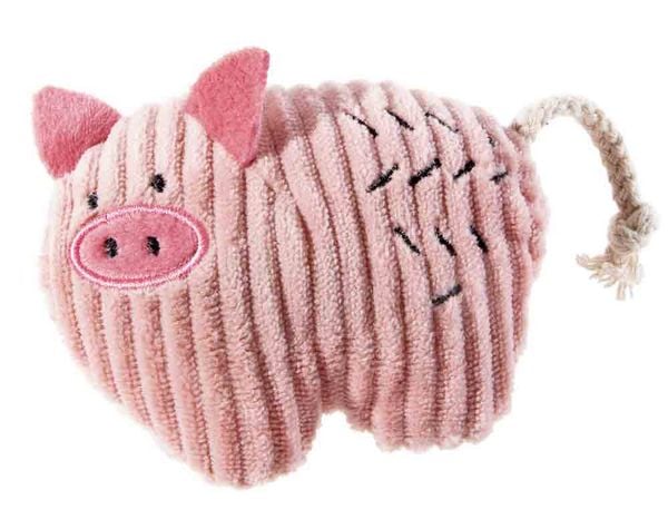 KIS Kleines Schweinchen