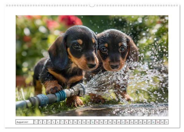 Produktbild: Kleine Beine, gro&szlig;es Gl&uuml;ck (hochwertiger Premium Wandkalender 2027 DIN A2 quer), Kunstdruck in Hochglanz