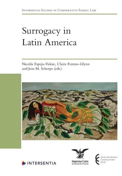 Produktbild: Surrogacy in Latin America