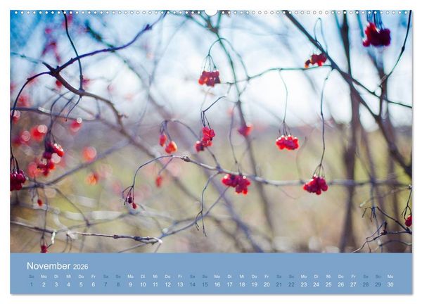 Produktbild: Zeitenwandel - Ein Jahr in der Natur (hochwertiger Premium Wandkalender 2026 DIN A2 quer), Kunstdruck in Hochglanz