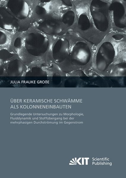 Produktbild: &Uuml;ber keramische Schw&auml;mme als Kolonneneinbauten : Grundlegende Untersuchungen zu