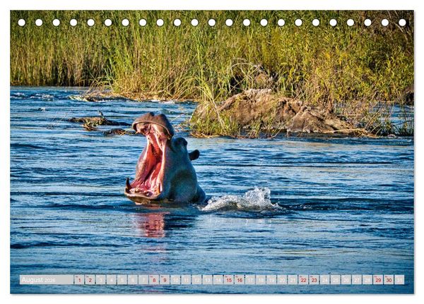 Produktbild: Namibia &ndash; Die Tierwelt vom Caprivi bis Etosha (Tischkalender 2026 DIN A5 quer), CALVENDO Monatskalender