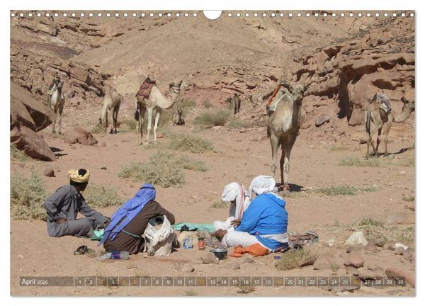 Produktbild: Impressionen Kameltrekking Sinai 2026 (Wandkalender 2026 DIN A3 quer), CALVENDO Monatskalender