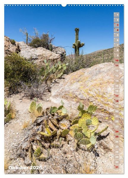 Produktbild: SAGUARO NATIONAL PARK W&uuml;stenimpressionen aus Arizona (hochwertiger Premium Wandkalender 2026 DIN A2 hoch), Kunstdruck in Hochglanz