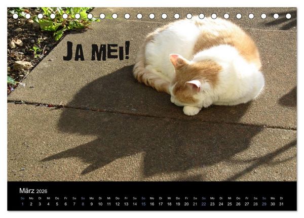 Produktbild: Baierische Lebensweisheiten (Tischkalender 2026 DIN A5 quer), CALVENDO Monatskalender