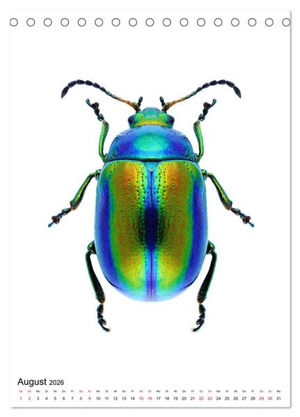 Produktbild: Die sch&ouml;nsten Insekten (Tischkalender 2026 DIN A5 hoch), CALVENDO Monatskalender