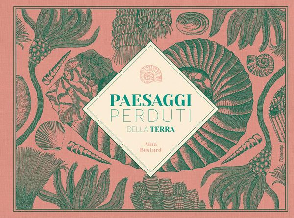 Produktbild: Paesaggi perduti della Terra