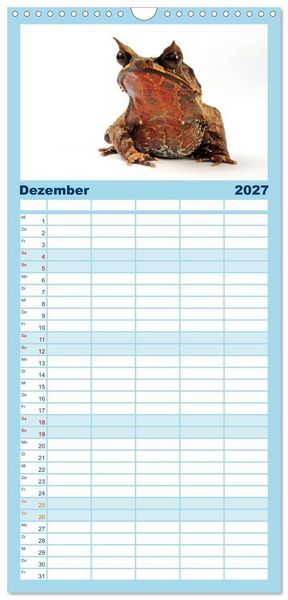 Produktbild: Familienplaner 2027 - Farbenpracht der Fr&ouml;sche mit 5 Spalten (Wandkalender, 21 x 45 cm) CALVENDO
