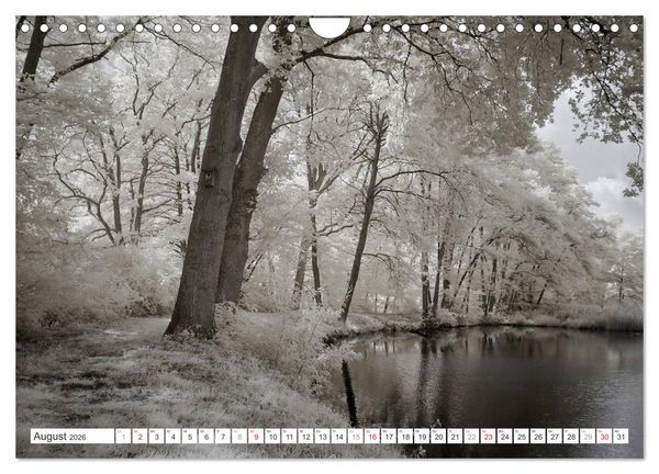 Produktbild: Zauberhafte Infrarot-Fotografie (Wandkalender 2026 DIN A4 quer), CALVENDO Monatskalender