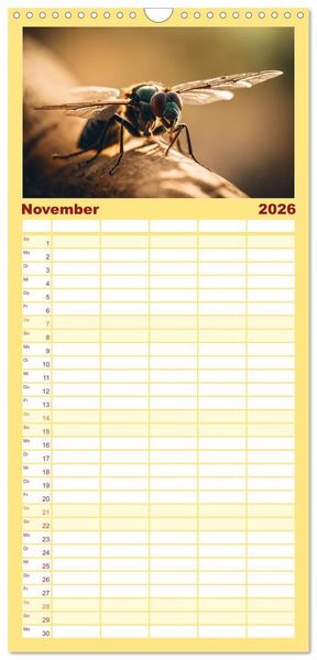 Produktbild: Familienplaner 2026 - Filigrane Insekten mit 5 Spalten (Wandkalender, 21 x 45 cm) CALVENDO