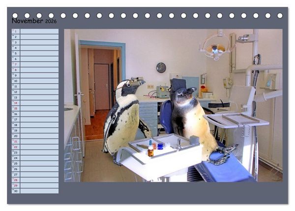 Produktbild: Pinguine privat Planer (Tischkalender 2026 DIN A5 quer), CALVENDO Monatskalender