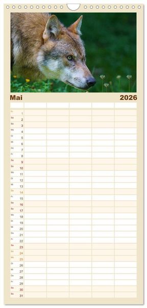 Produktbild: Familienplaner 2026 - Begegnung mit dem Wolf mit 5 Spalten (Wandkalender, 21 x 45 cm) CALVENDO