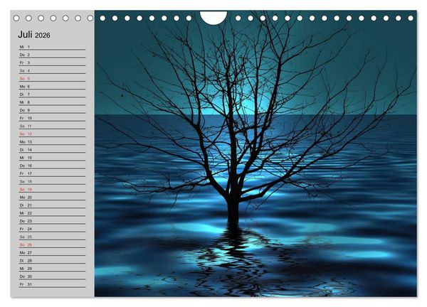 Produktbild: Magische B&auml;ume (Wandkalender 2026 DIN A4 quer), CALVENDO Monatskalender
