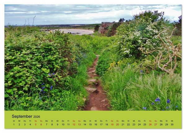 Produktbild: Chausey Inseln Magischer Insel - Archipel Frankreich (Wandkalender 2026 DIN A3 quer), CALVENDO Monatskalender