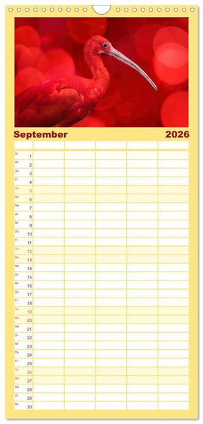 Produktbild: Familienplaner 2026 - Die bunte Welt der V&ouml;gel mit 5 Spalten (Wandkalender, 21 x 45 cm) CALVENDO