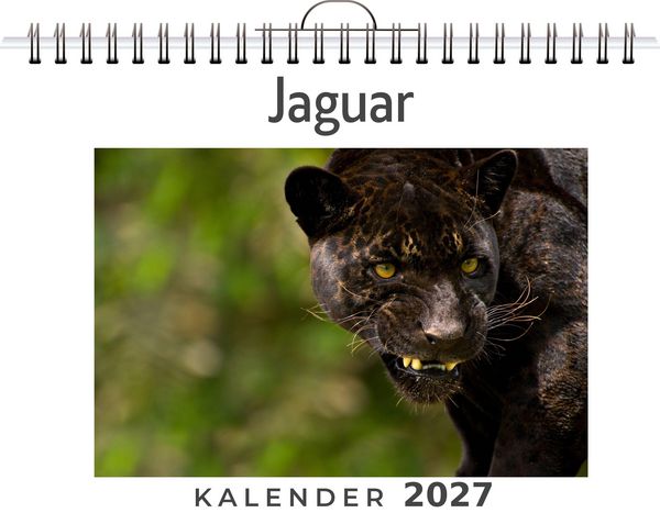Produktbild: Jaguar