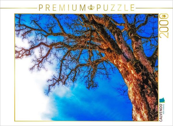 CALVENDO Puzzle Baum im Allgäu | 2000 Teile Lege-Größe 90x67cm Foto-Puzzle für glückliche Stunden