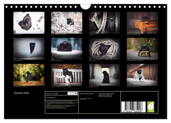 Produktbild: Diesels Welt (Wandkalender 2026 DIN A4 quer), CALVENDO Monatskalender